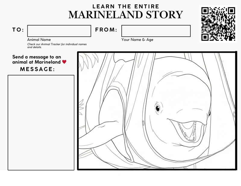 marineland color animal
